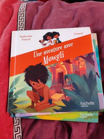Une aventure avec mowgli livre happy meal McDonald's