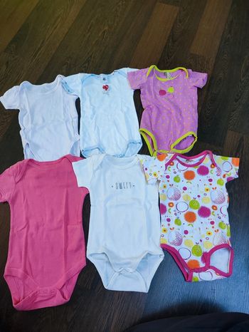 Bodies manches courtes