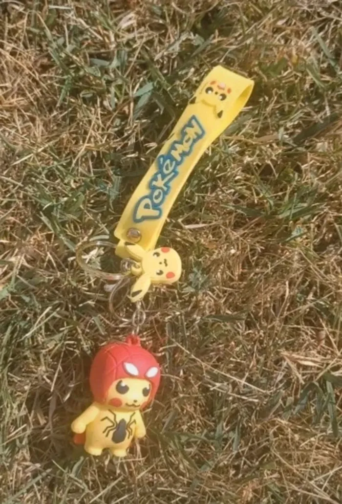Porte clés pokemon