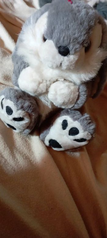 Nounours lapin
