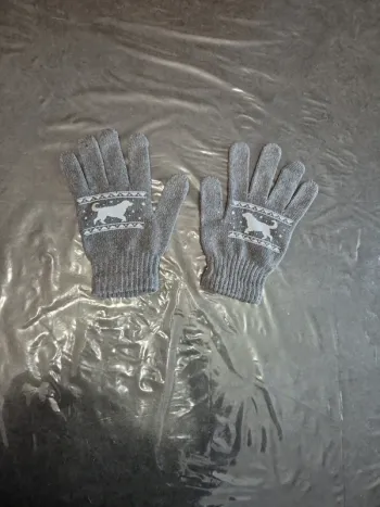 Paire de gants