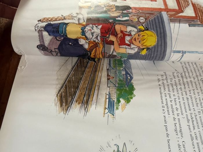 Moyen 2 - Livre édition limitée reliure rouge Caroline dans les Alpages Pierre Probst bd - photo numéro 7