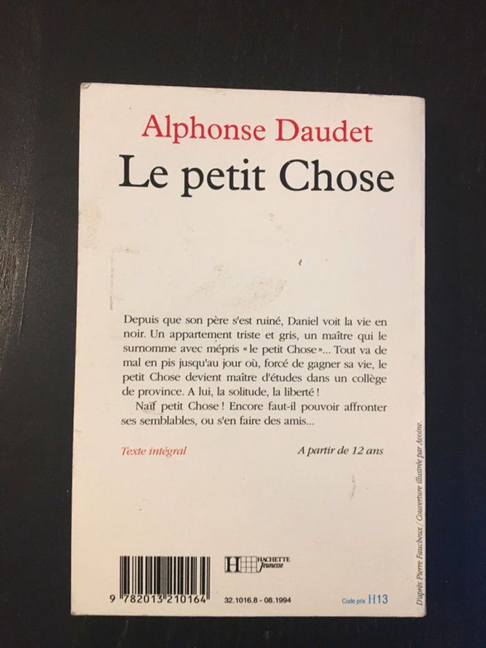 Livre jeunesse - le petit chose - photo numéro 2