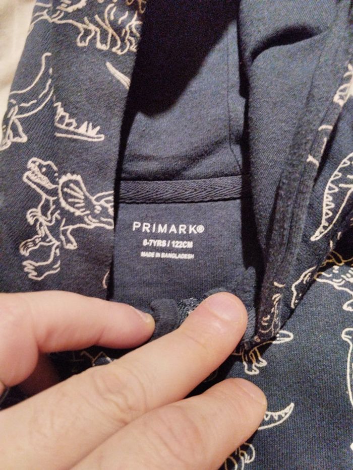 Veste dinosaure - photo numéro 2
