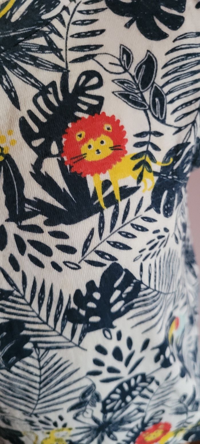 Tee-shirt savane - photo numéro 2