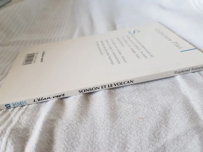 Sonson et le volcan de raymond relouzat - photo numéro 3