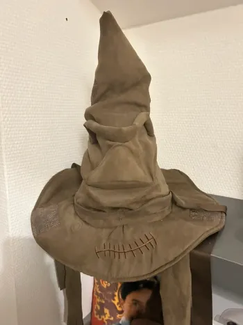 Choipeau magique Harry Potter