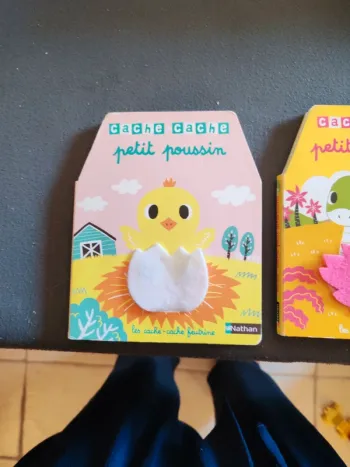 Lot de 2 livres en feutrine