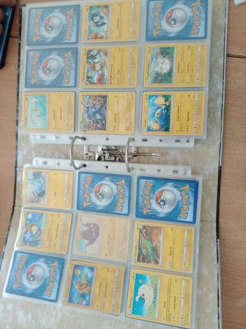 Carte pokemon