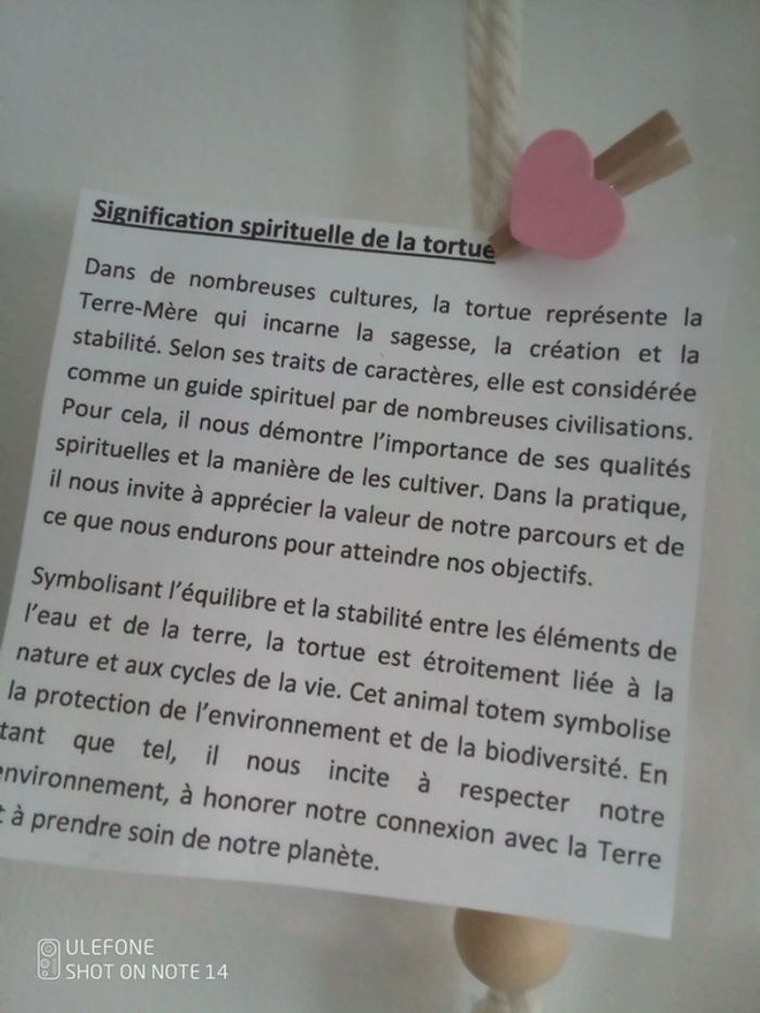 Boucles d'oreilles bohèmes tortues - photo numéro 2