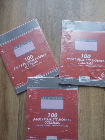 Lot de 3 paquets à grand carreaux petits format 100 feuilles 🌹