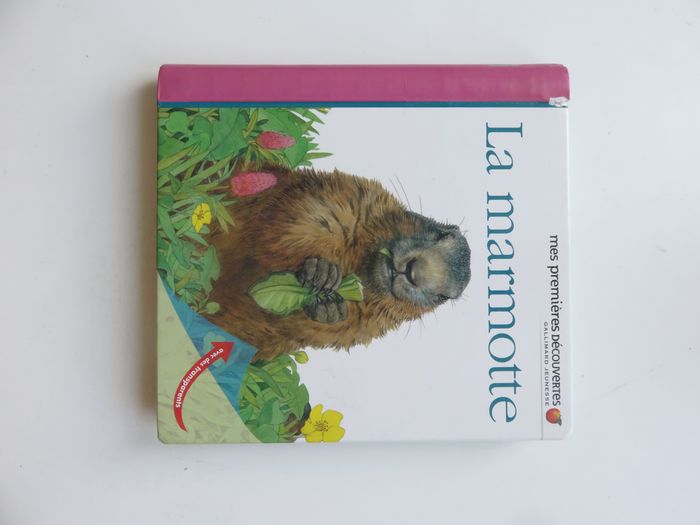 Album documentaire 2-5 ans : Mes premières découvertes - La mamotte (Gallimard jeunesse)