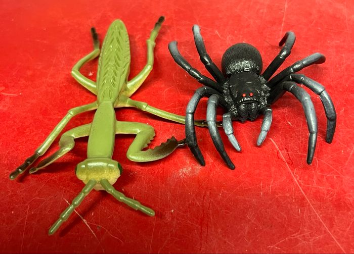 Lot d’Insectes - photo numéro 4