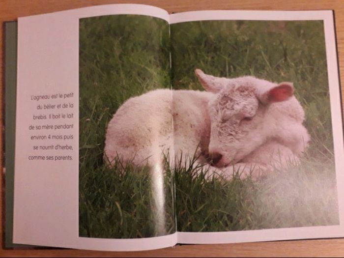 Livre animaux - photo numéro 2