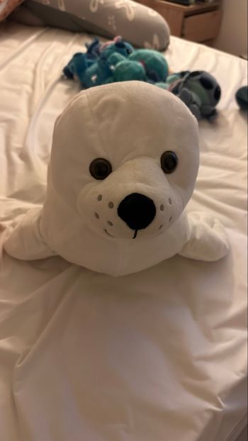 Peluche phoque 