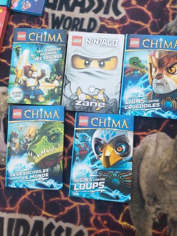 Livres Lego chima