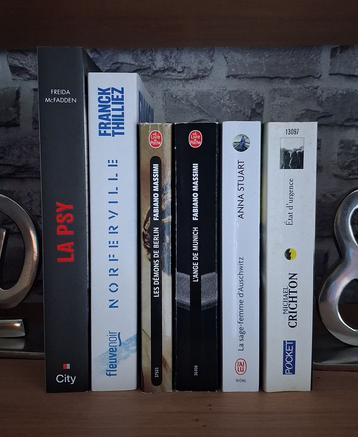 La Psy, Norferville, La sage-femme d’Auschwitz etc... - photo numéro 3