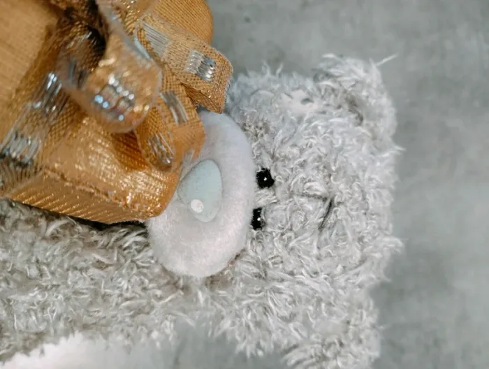 Ours peluche Me to You paquet cadeau - photo numéro 4
