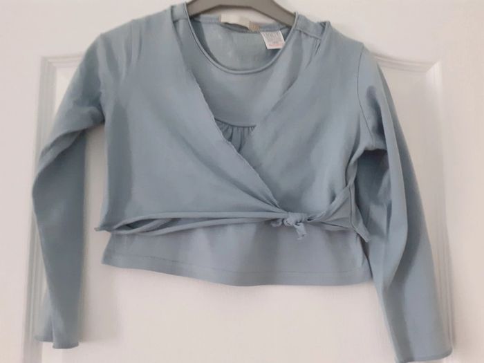 Ensemble Tee-shirt et gilet fille 6 ans - photo numéro 3