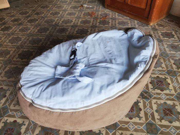 Coussin doomoo