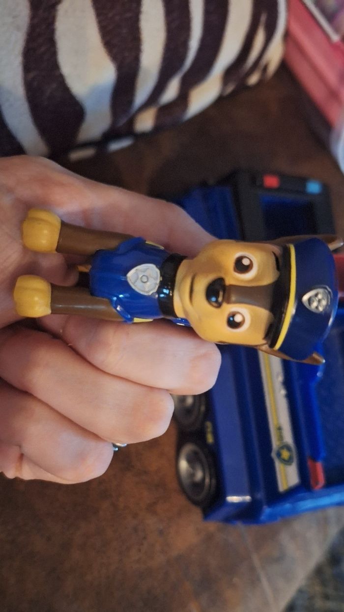 Marcus pat patrouille - photo numéro 3