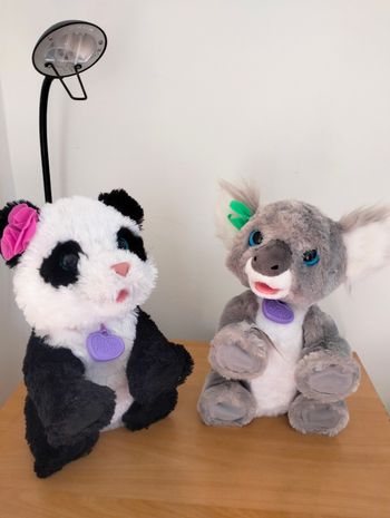 Pom pom & kristy