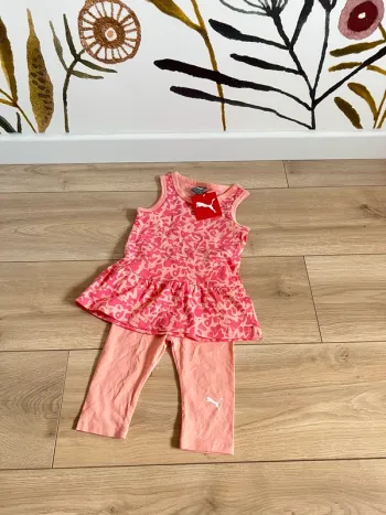 Ensemble puma