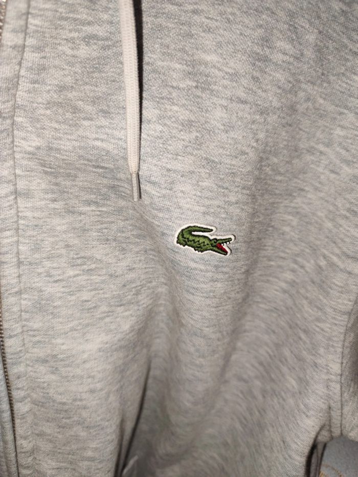 Veste Lacoste - photo numéro 2
