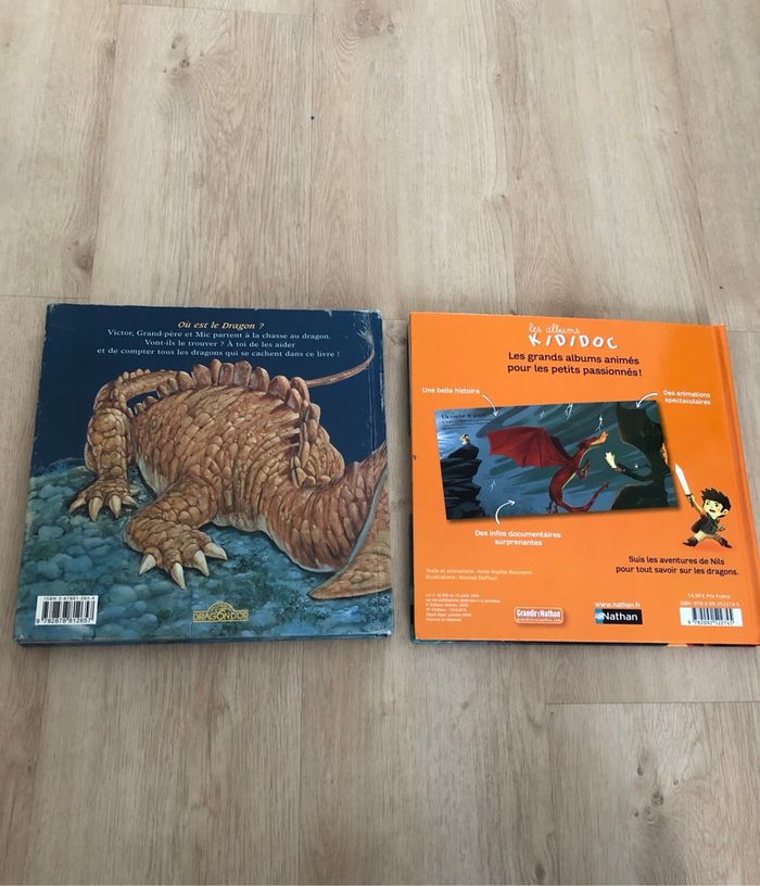 Lot livres dragons Kididoc - photo numéro 4