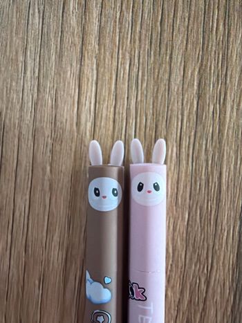 2 stylos labubu encre effaçable 
