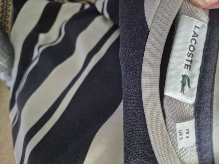 Pull Lacoste - photo numéro 3