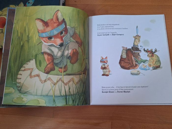 Lot livres pour enfant illustrés - photo numéro 16