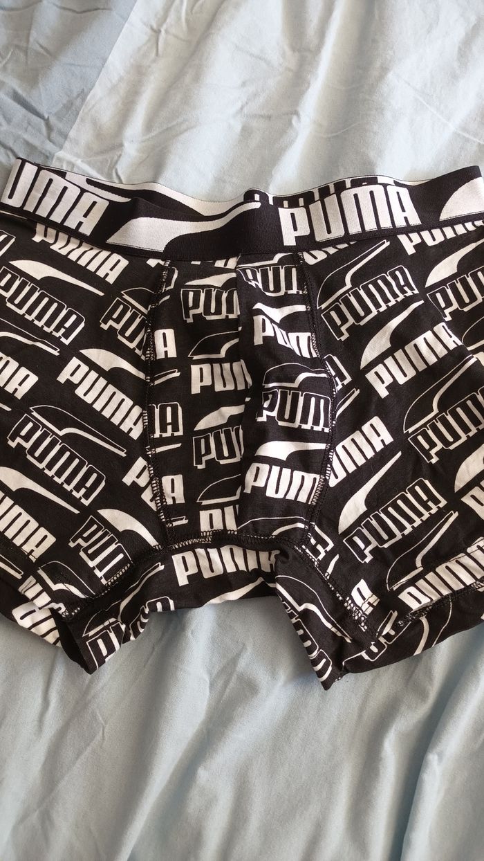 Boxer puma