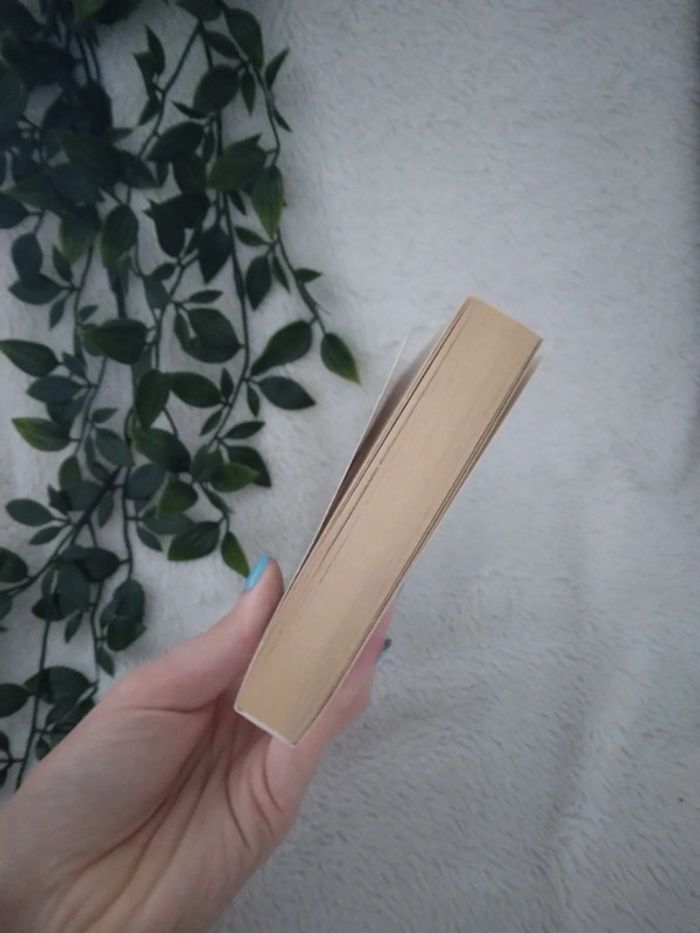 🌸Livre un envoûtant rendez-vous de Nora Roberts🌸 - photo numéro 4