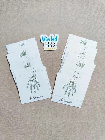 Cartes de nomenclature des os de la mains