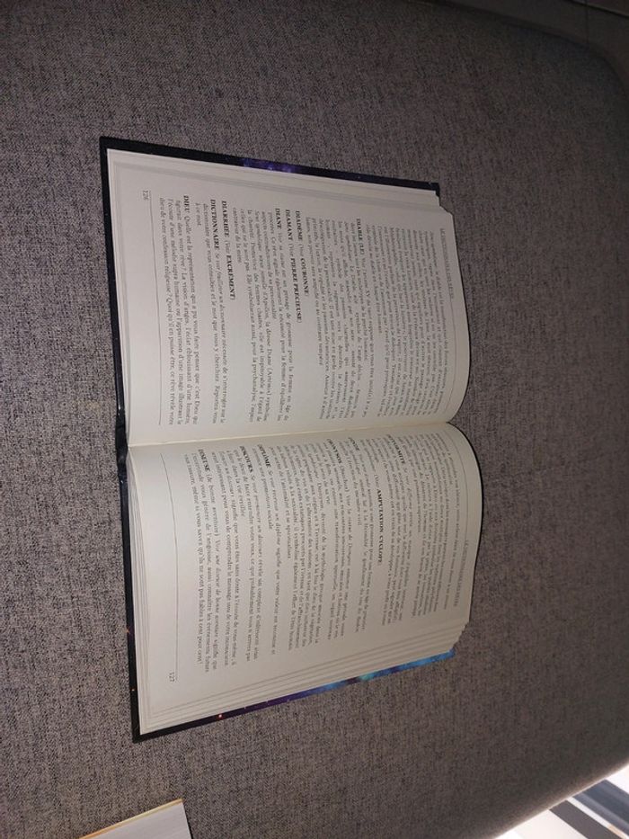 Le dictionnaire des rêves - photo numéro 5