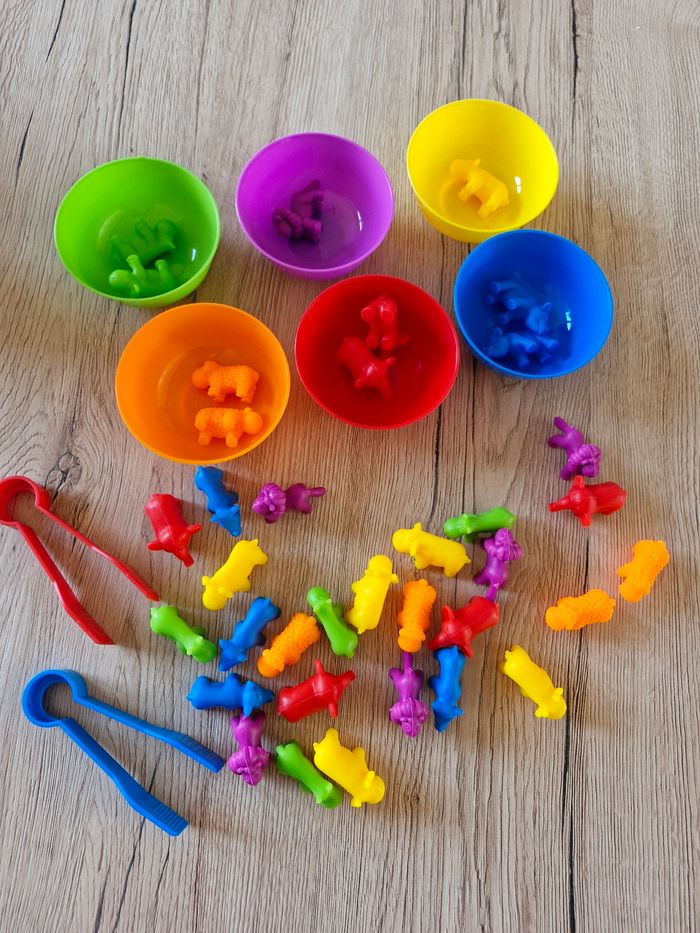 Jeu éducatif tri de couleurs et animaux Montessori - photo numéro 3