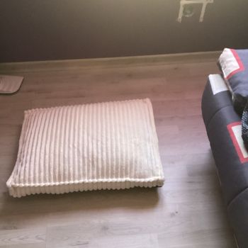 Tapis de chat ou petit chien