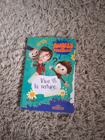 Livre enfant angelo la débrouille