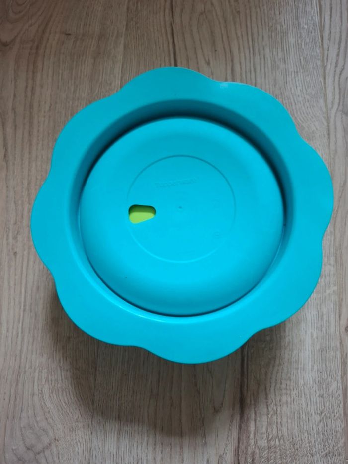 Assiette ventouse Tupperware - photo numéro 2