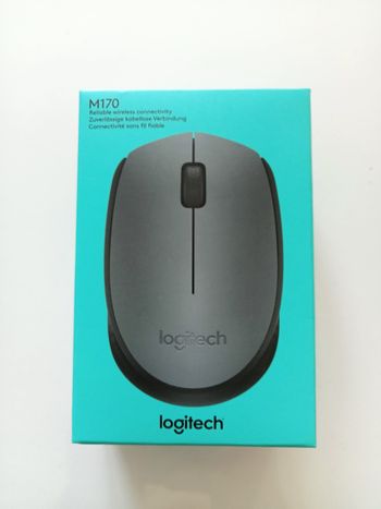 Souris ordinateur