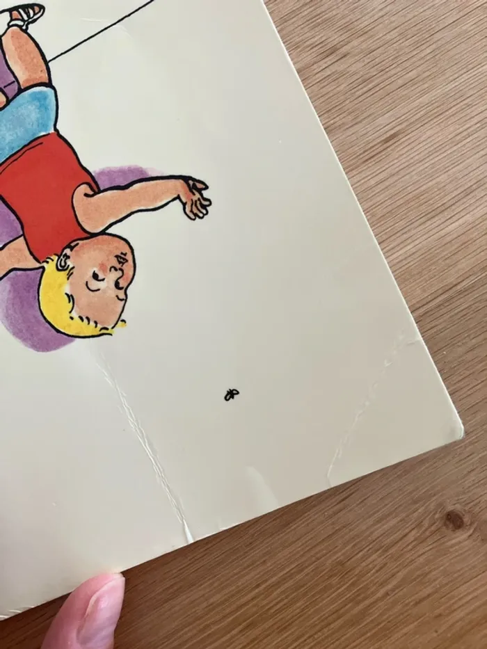 Livre mouche - photo numéro 4
