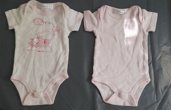 Lot de 3 bodys manche courte