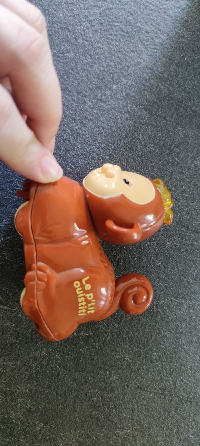 Tut tut animo singe - photo numéro 2