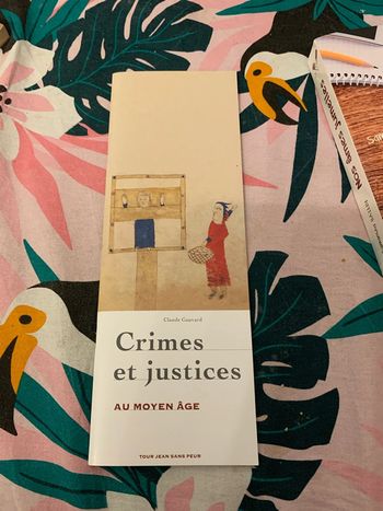 Crimes et justices au moyen âge
