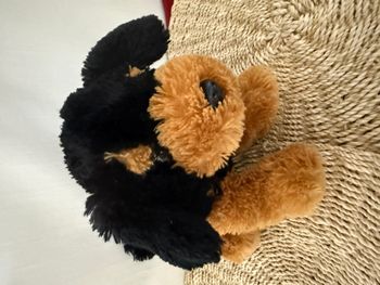 chiot rottweiler doudou peluche max & sax
