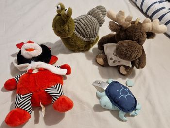 Lot peluches