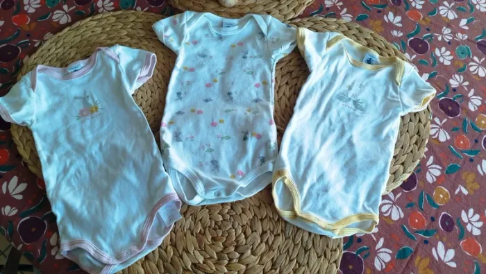 Lot 3 bodies 12 mois - photo numéro 2