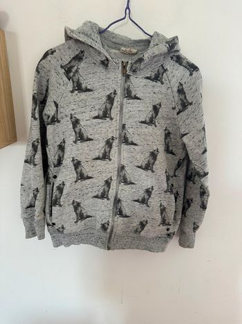 Veste à capuche, Zara kids taille 8 ans