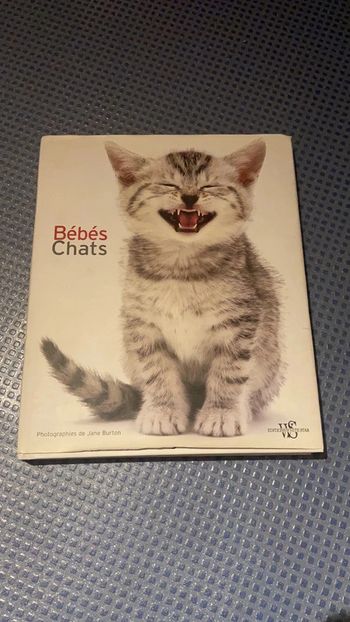 Grand livre bébé chat